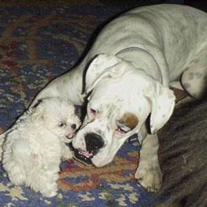 Meet your Posher, Linda